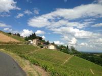 Beaujolais &ndash; &copy; Birgit Janosch (Eberhardt TRAVEL)