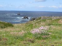 Point du Raz &ndash; &copy; Jürgen Schmeißer (Eberhardt TRAVEL)