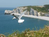 Etretat - Alabasterküste &ndash; &copy; Claudia Bernhardt (Eberhardt TRAVEL)