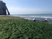 065.Étretat &ndash; &copy; Birgit Janosch (Eberhardt TRAVEL)