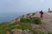 211.Cap Fréhel &ndash; &copy; Birgit Janosch (Eberhardt TRAVEL)