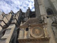 443.Kathedrale von Chartres &ndash; &copy; Birgit Janosch (Eberhardt TRAVEL)