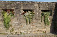 348.Concarneau &ndash; &copy; Birgit Janosch (Eberhardt TRAVEL)