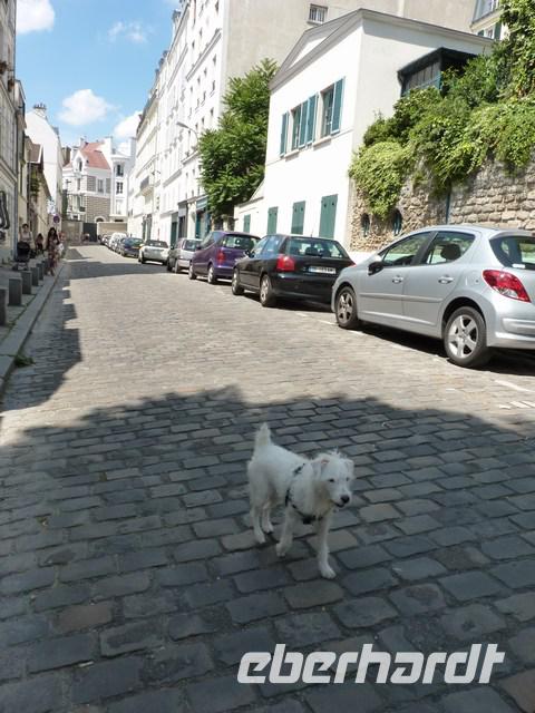 Montmartre &ndash; &copy; Steffi Zimmermann (Eberhardt TRAVEL)