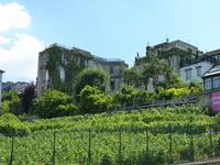 Wein von Montemartre &ndash; &copy; Steffi Zimmermann (Eberhardt TRAVEL)