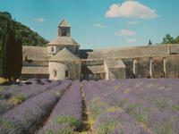 Abtei Avignon