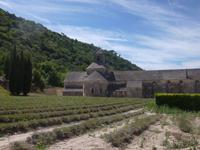 Abtei Senanque  &ndash; &copy; Sandra Rößle (Eberhardt TRAVEL)