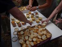 Picknick  &ndash; &copy; Sandra Rößle (Eberhardt TRAVEL)