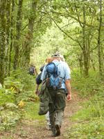 028Wanderung im Wald von Brocéliande &ndash; &copy; Birgit Janosch (Eberhardt TRAVEL)