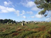 045Alignements von Carnac &ndash; &copy; Birgit Janosch (Eberhardt TRAVEL)