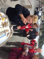 329Austernprobe in Cancale &ndash; &copy; Birgit Janosch (Eberhardt TRAVEL)