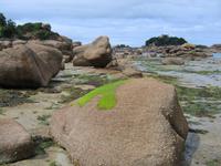 Ploumanac'h &ndash; &copy; Marina Zimmermann-Sedlick (Eberhardt TRAVEL)