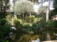 Monaco  &ndash; &copy; Sandra Rößle (Eberhardt TRAVEL)