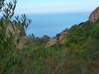 In der Calanche &ndash; &copy; Betina Marinow (Eberhardt TRAVEL)