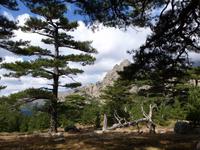 Col de la Bavella &ndash; &copy; Betina Marinow (Eberhardt TRAVEL)