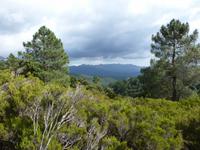 Alta Rocca  &ndash; &copy; Betina Marinow (Eberhardt TRAVEL)