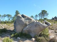 Forêt de l'Ospédale &ndash; &copy; Betina Marinow (Eberhardt TRAVEL)