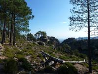Forêt de l'Ospédale &ndash; &copy; Betina Marinow (Eberhardt TRAVEL)