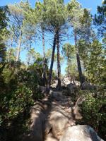 Forêt de l'Ospédale &ndash; &copy; Betina Marinow (Eberhardt TRAVEL)