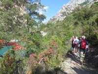 in der Verdonschlucht &ndash; &copy; Jürgen Schmeißer (Eberhardt TRAVEL)