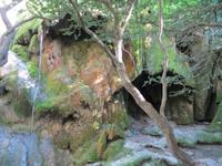 Wasserfall in der Verdonschlucht &ndash; &copy; Jürgen Schmeißer (Eberhardt TRAVEL)