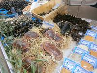 Sehr schön präsentiert lebende Krebse Muscheln und Hummer