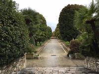 020Park in Nizza-Cimiez &ndash; &copy; Birgit Janosch (Eberhardt TRAVEL)
