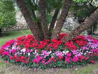 022Park in Nizza-Cimiez &ndash; &copy; Birgit Janosch (Eberhardt TRAVEL)