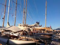 802Saint Tropez