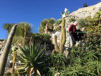 246Jardin Exotique