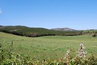 Weide am Cap Corse &ndash; &copy; Sophie Hof (Eberhardt TRAVEL)