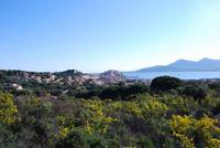 Calvi &ndash; &copy; Sophie Hof (Eberhardt TRAVEL)