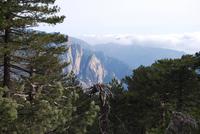 Bavella-Massiv &ndash; &copy; Sophie Hof (Eberhardt TRAVEL)