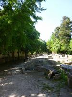 Les Alyscamps, Arles &ndash; &copy; Grit Wendelberger (Eberhardt TRAVEL)