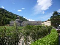 Senanque &ndash; &copy; Grit Wendelberger (Eberhardt TRAVEL)
