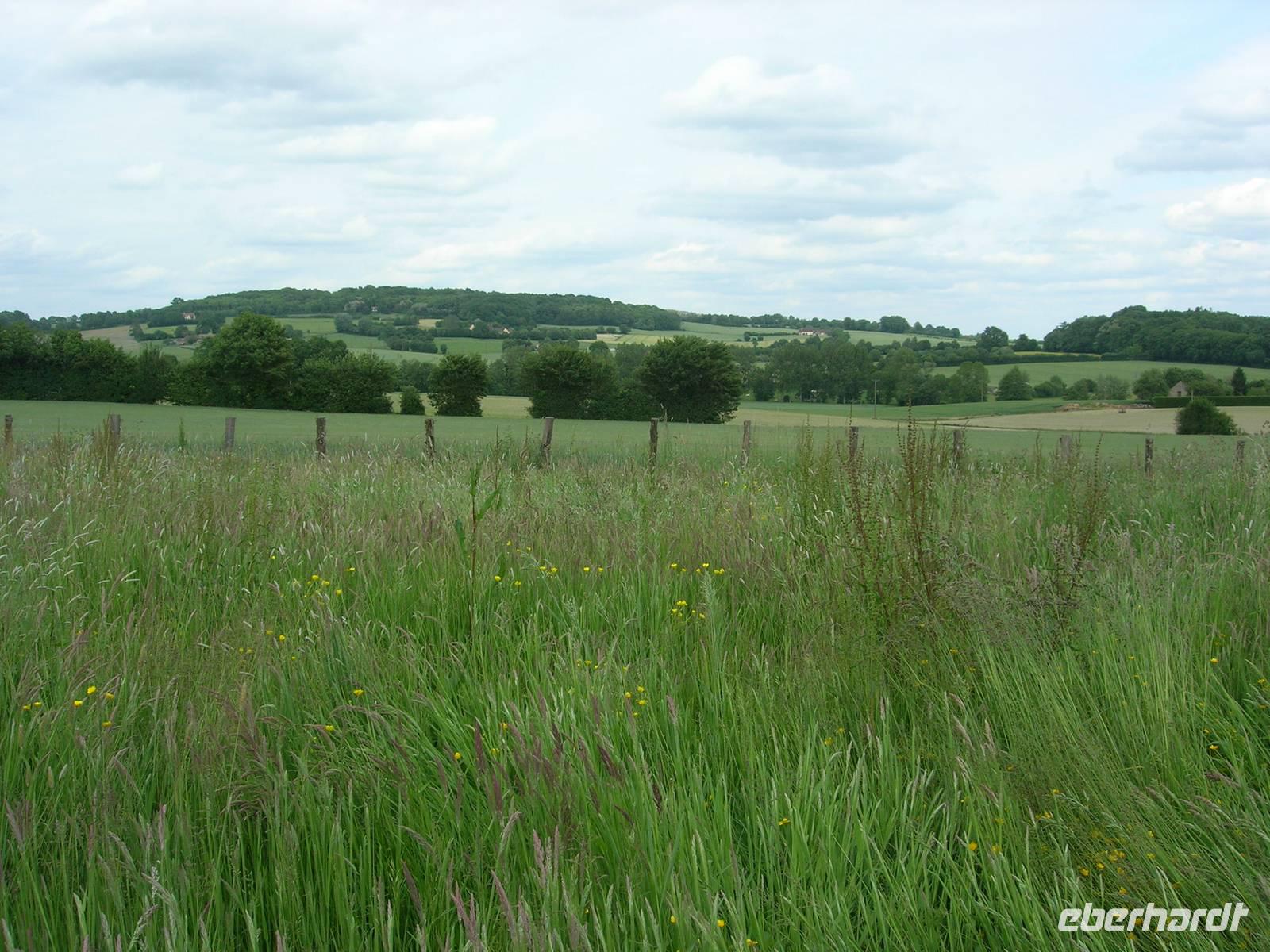 Freitag, 29.5.2015 Préaux-du-Perche &ndash; &copy; Beate Schroedter (Eberhardt TRAVEL)