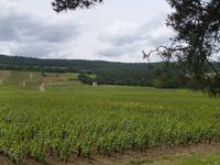 3_Beaune &ndash; &copy; Isabel Schirmer (Eberhardt TRAVEL)
