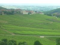 4_Ausflug Weinmuseum (2) &ndash; &copy; Isabel Schirmer (Eberhardt TRAVEL)
