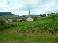 4_Ausflug Weinmuseum &ndash; &copy; Isabel Schirmer (Eberhardt TRAVEL)