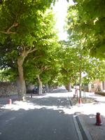 5_In Viviers (10) &ndash; &copy; Isabel Schirmer (Eberhardt TRAVEL)