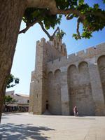 6_Camargue (27) &ndash; &copy; Isabel Schirmer (Eberhardt TRAVEL)