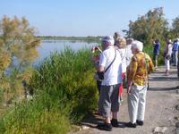 6_Camargue (9) &ndash; &copy; Isabel Schirmer (Eberhardt TRAVEL)