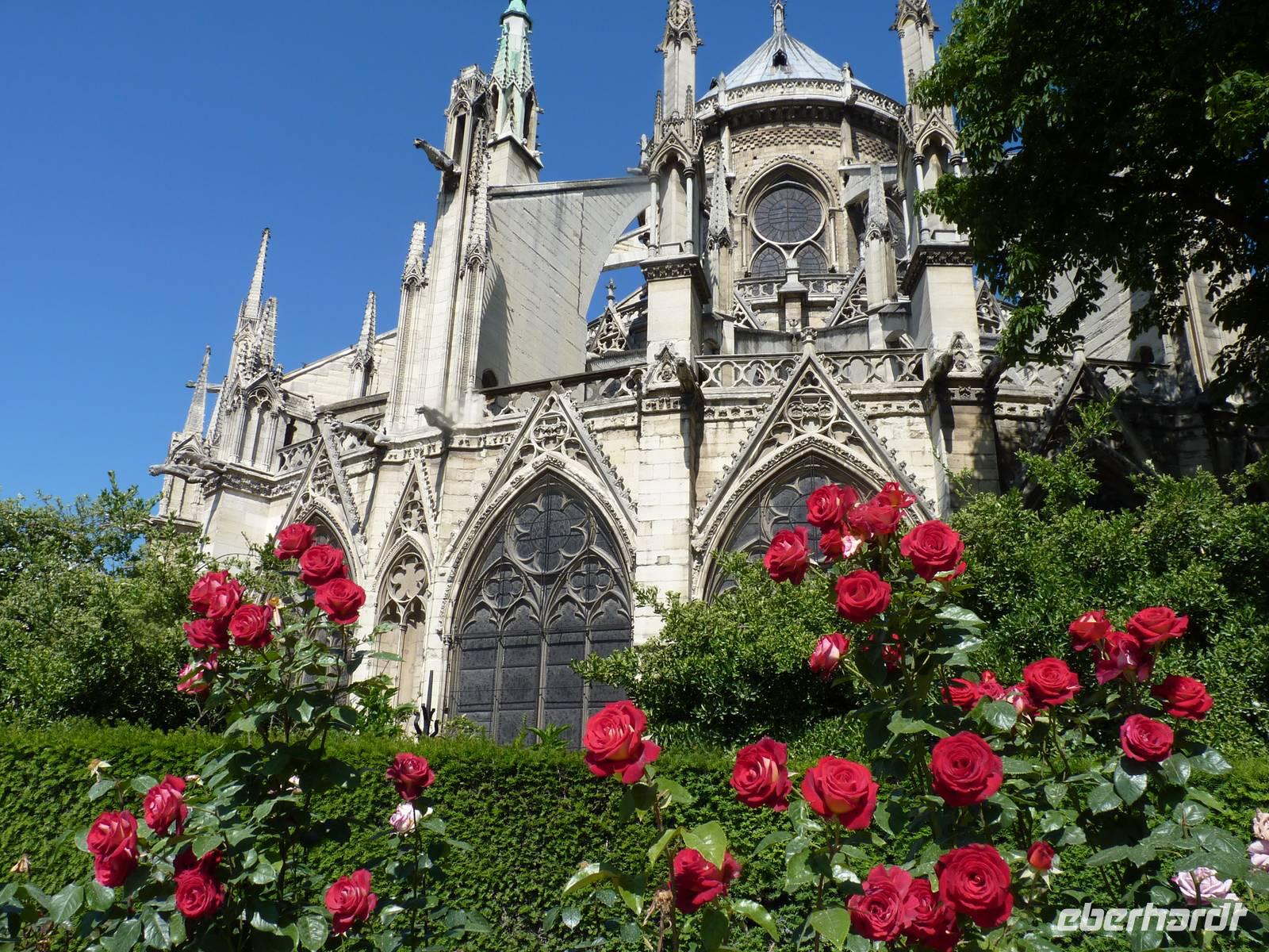 Kathedrale Notre-Dame de Paris &ndash; &copy; Steffi Zimmermann (Eberhardt TRAVEL)