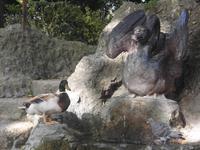 wer darf zuerst baden? &ndash; &copy; Eva-Maria Strauß-Eberhardt (Eberhardt TRAVEL)