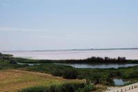 Salzgärten bei Aigues Mortes &ndash; &copy; Sophie Hof (Eberhardt TRAVEL)
