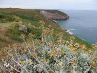 Cap Frehel &ndash; &copy; Jürgen Schmeißer (Eberhardt TRAVEL)