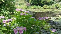 Garten von Monet Giverny
