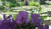 20150801_141512 &ndash; &copy; Katrin Kerpa (Eberhardt TRAVEL)