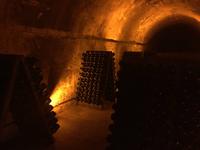 114Champagnerprobe in Reims &ndash; &copy; Birgit Janosch (Eberhardt TRAVEL)