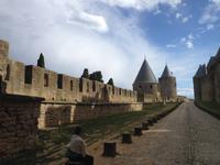 313_Carcassonne &ndash; &copy; Birgit Janosch (Eberhardt TRAVEL)